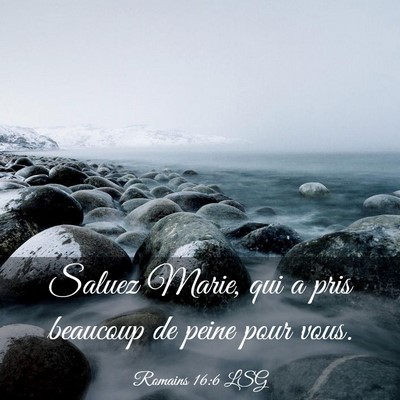 Picture 03 - Romains 16:6 LSG - Saluez Marie, qui a pris beaucoup de peine pour - Bible Verse Picture