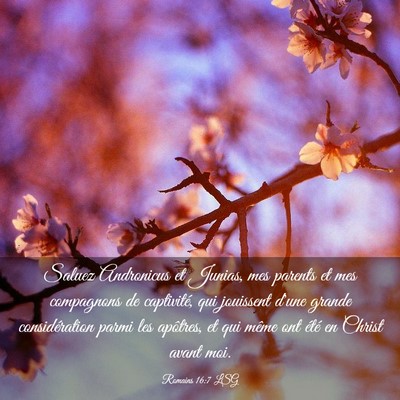 Picture 03 - Romains 16:7 LSG - Saluez Andronicus et Junias, mes parents et mes - Bible Verse Picture