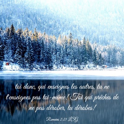 Picture 03 - Romains 2:21 LSG - toi donc, qui enseignes les autres, tu ne - Bible Verse Picture