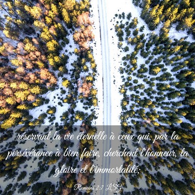 Picture 03 - Romains 2:7 LSG - réservant la vie éternelle à ceux qui, par la - Bible Verse Picture