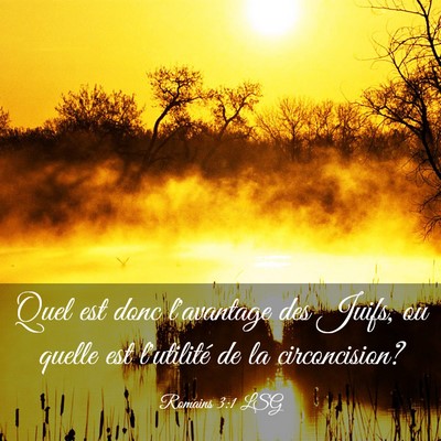 Picture 03 - Romains 3:1 LSG - Quel est donc l'avantage des Juifs, ou quelle est - Bible Verse Picture