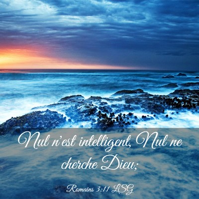 Picture 03 - Romains 3:11 LSG - Nul n'est intelligent, Nul ne cherche - Bible Verse Picture