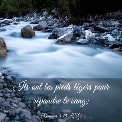 Picture 03 - Romains 3:15 LSG - Ils ont les pieds légers pour répandre le - Bible Verse Picture