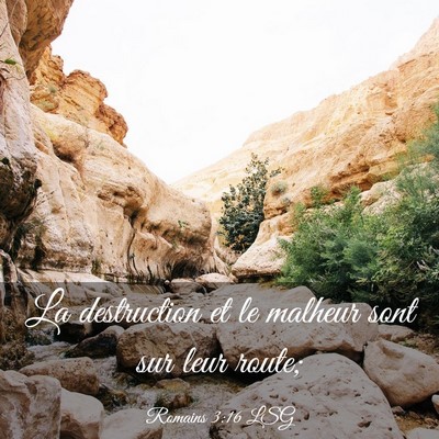 Picture 03 - Romains 3:16 LSG - La destruction et le malheur sont sur leur - Bible Verse Picture