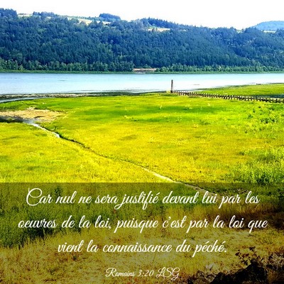 Picture 03 - Romains 3:20 LSG - Car nul ne sera justifié devant lui par les - Bible Verse Picture
