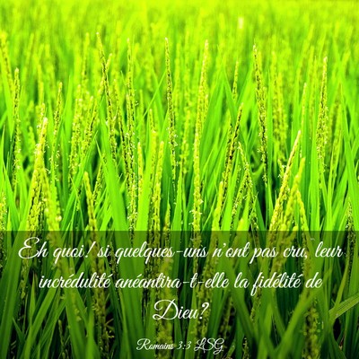 Picture 03 - Romains 3:3 LSG - Eh quoi! si quelques-uns n'ont pas cru, leur - Bible Verse Picture