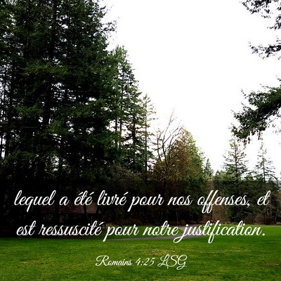 Picture 03 - Romains 4:25 LSG - lequel a été livré pour nos offenses, et est - Bible Verse Picture