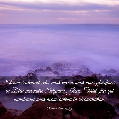 Picture 03 - Romains 5:11 LSG - Et non seulement cela, mais encore nous nous - Bible Verse Picture