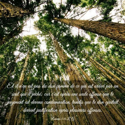 Picture 03 - Romains 5:16 LSG - Et il n'en est pas du don comme de ce qui est - Bible Verse Picture