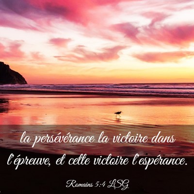 Picture 03 - Romains 5:4 LSG - la persévérance la victoire dans l'épreuve, et - Bible Verse Picture