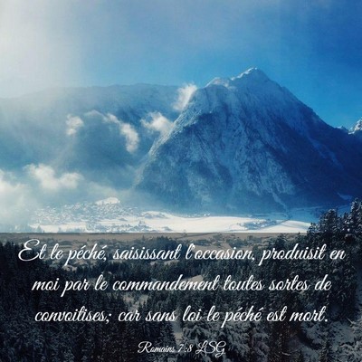 Picture 03 - Romains 7:8 LSG - Et le péché, saisissant l'occasion, produisit - Bible Verse Picture