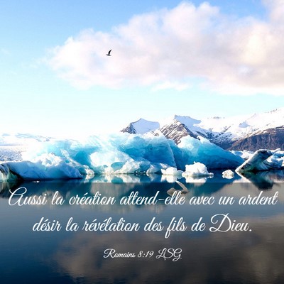 Picture 03 - Romains 8:19 LSG - Aussi la création attend-elle avec un ardent - Bible Verse Picture