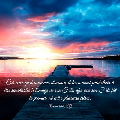 Picture 03 - Romains 8:29 LSG - Car ceux qu'il a connus d'avance, il les a aussi - Bible Verse Picture