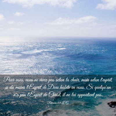 Picture 03 - Romains 8:9 LSG - Pour vous, vous ne vivez pas selon la chair, mais - Bible Verse Picture