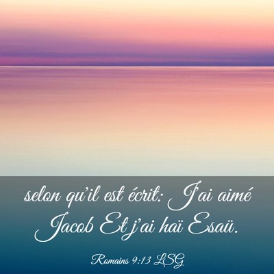 Picture 03 - Romains 9:13 LSG - selon qu'il est écrit: J'ai aimé Jacob Et j'ai - Bible Verse Picture