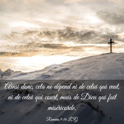Picture 03 - Romains 9:16 LSG - Ainsi donc, cela ne dépend ni de celui qui veut, - Bible Verse Picture