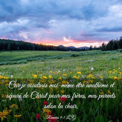 Picture 03 - Romains 9:3 LSG - Car je voudrais moi-même être anathème et - Bible Verse Picture