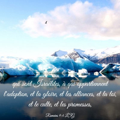 Picture 03 - Romains 9:4 LSG - qui sont Israélites, à qui appartiennent - Bible Verse Picture