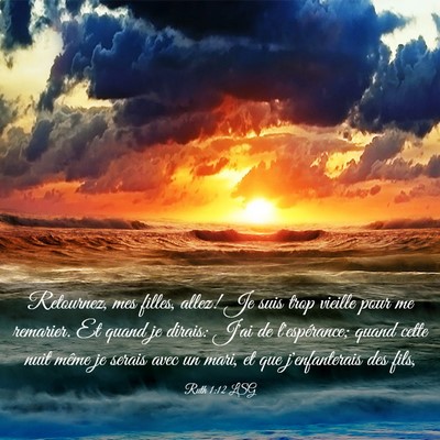 Picture 03 - Ruth 1:12 LSG - Retournez, mes filles, allez! Je suis trop - Bible Verse Picture
