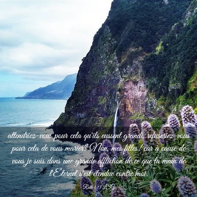 Picture 03 - Ruth 1:13 LSG - attendriez-vous pour cela qu'ils eussent grandi, - Bible Verse Picture