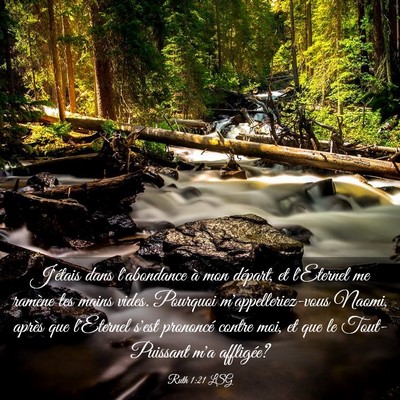 Picture 03 - Ruth 1:21 LSG - J'étais dans l'abondance à mon départ, et - Bible Verse Picture