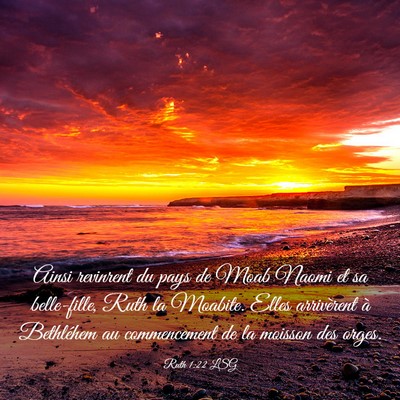 Picture 03 - Ruth 1:22 LSG - Ainsi revinrent du pays de Moab Naomi et sa - Bible Verse Picture