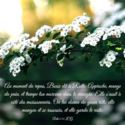Picture 03 - Ruth 2:14 LSG - Au moment du repas, Boaz dit à Ruth: Approche, - Bible Verse Picture