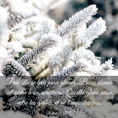 Picture 03 - Ruth 2:15 LSG - Puis elle se leva pour glaner. Boaz donna cet - Bible Verse Picture