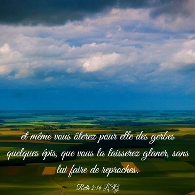 Picture 03 - Ruth 2:16 LSG - et même vous ôterez pour elle des gerbes - Bible Verse Picture