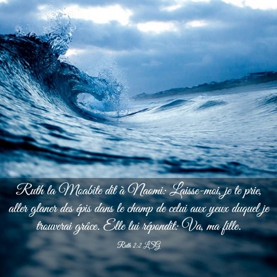 Picture 03 - Ruth 2:2 LSG - Ruth la Moabite dit à Naomi: Laisse-moi, je te - Bible Verse Picture