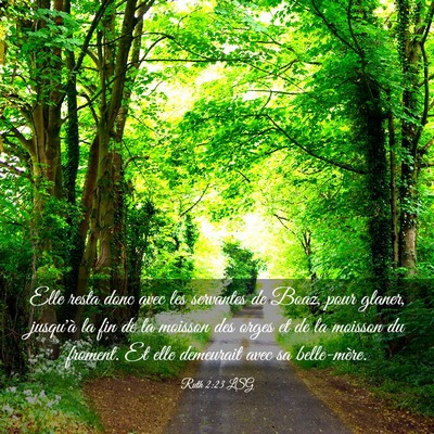 Picture 03 - Ruth 2:23 LSG - Elle resta donc avec les servantes de Boaz, pour - Bible Verse Picture