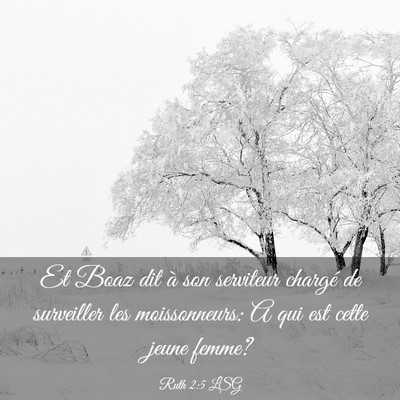 Picture 03 - Ruth 2:5 LSG - Et Boaz dit à son serviteur chargé de - Bible Verse Picture