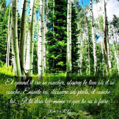 Picture 03 - Ruth 3:4 LSG - Et quand il ira se coucher, observe le lieu où - Bible Verse Picture