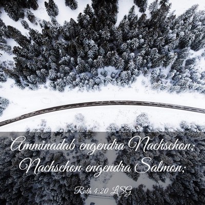 Picture 03 - Ruth 4:20 LSG - Amminadab engendra Nachschon; Nachschon engendra - Bible Verse Picture