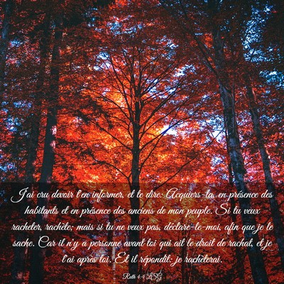 Picture 03 - Ruth 4:4 LSG - J'ai cru devoir t'en informer, et te dire: - Bible Verse Picture
