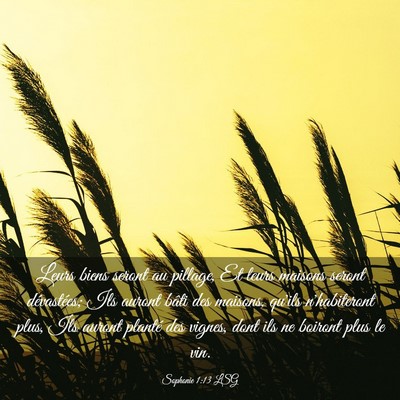 Picture 03 - Sophonie 1:13 LSG - Leurs biens seront au pillage, Et leurs maisons - Bible Verse Picture