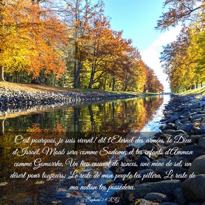 Picture 03 - Sophonie 2:9 LSG - C'est pourquoi, je suis vivant! dit l'Eternel des - Bible Verse Picture