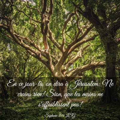 Picture 03 - Sophonie 3:16 LSG - En ce jour-là, on dira à Jérusalem: Ne crains - Bible Verse Picture