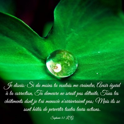 Picture 03 - Sophonie 3:7 LSG - Je disais: Si du moins tu voulais me craindre, - Bible Verse Picture