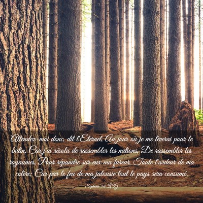 Picture 03 - Sophonie 3:8 LSG - Attendez-moi donc, dit l'Eternel, Au jour où je - Bible Verse Picture
