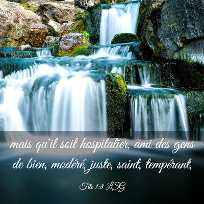 Picture 03 - Tite 1:8 LSG - mais qu'il soit hospitalier, ami des gens de - Bible Verse Picture