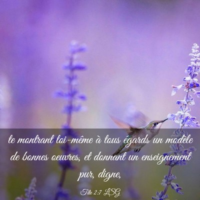 Picture 03 - Tite 2:7 LSG - te montrant toi-même à tous égards un modèle - Bible Verse Picture