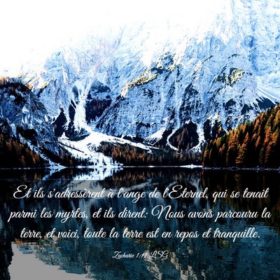 Picture 03 - Zacharie 1:11 LSG - Et ils s'adressèrent à l'ange de l'Eternel, qui - Bible Verse Picture
