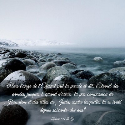 Picture 03 - Zacharie 1:12 LSG - Alors l'ange de l'Eternel prit la parole et dit: - Bible Verse Picture