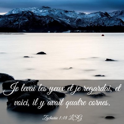 Picture 03 - Zacharie 1:18 LSG - Je levai les yeux et je regardai, et voici, il y - Bible Verse Picture