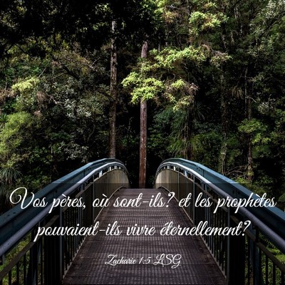 Picture 03 - Zacharie 1:5 LSG - Vos pères, où sont-ils? et les prophètes - Bible Verse Picture