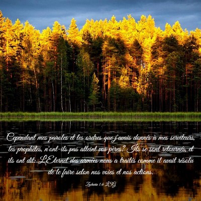 Picture 03 - Zacharie 1:6 LSG - Cependant mes paroles et les ordres que j'avais - Bible Verse Picture