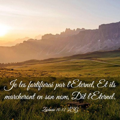 Picture 03 - Zacharie 10:12 LSG - Je les fortifierai par l'Eternel, Et ils - Bible Verse Picture