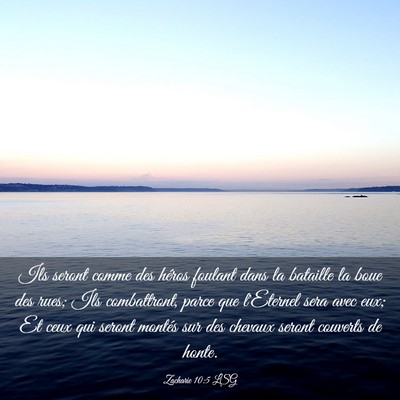 Picture 03 - Zacharie 10:5 LSG - Ils seront comme des héros foulant dans la - Bible Verse Picture