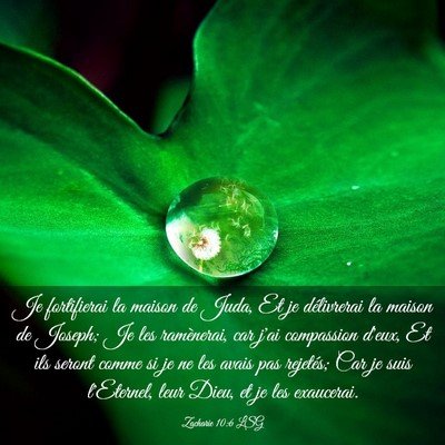 Picture 03 - Zacharie 10:6 LSG - Je fortifierai la maison de Juda, Et je - Bible Verse Picture